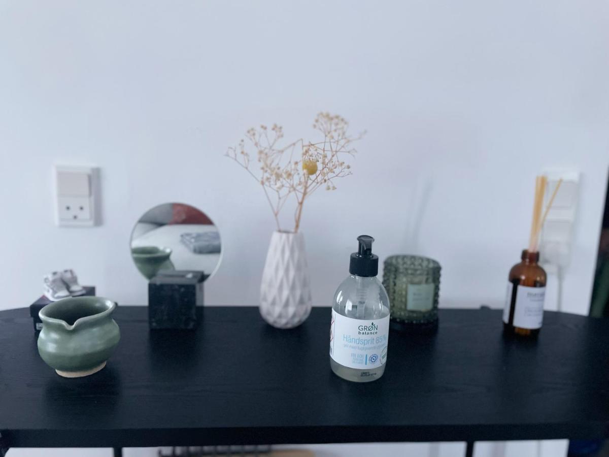 An Cosy Apartment Near Cph Airport Kopenhagen Bagian luar foto